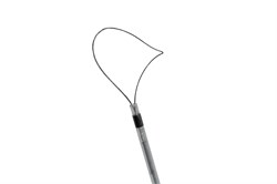 Петля для полипэктомии серповидная малая к гибким эндоскопам для канала 2,8 мм, длина 2400 мм (без рукоятки) - фото 5755
