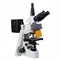 Микроскоп Микромед 3 ЛЮМ - фото 6638