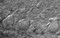 Микроскоп Axio Examiner 1, Carl Zeiss - фото 6882